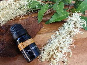 Aromatherapy Fragrances