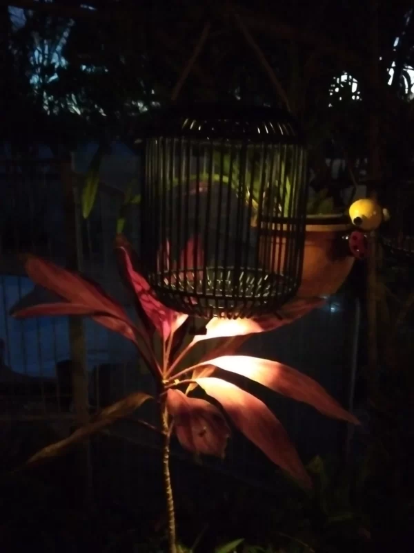 Outdoor Solar Rattan Lamp Birdcage design 11