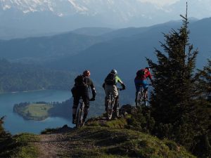 Mountain Bikes & E-Bikes