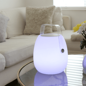 Bluetooth portable speaker -RGB - Led colour changing light