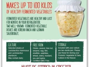 Probiotic Culture for Fermented Vegetables, Juices & Yoghurt - 100 litres/kgs
