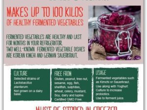 Vegan Fermented Vegetable Culture