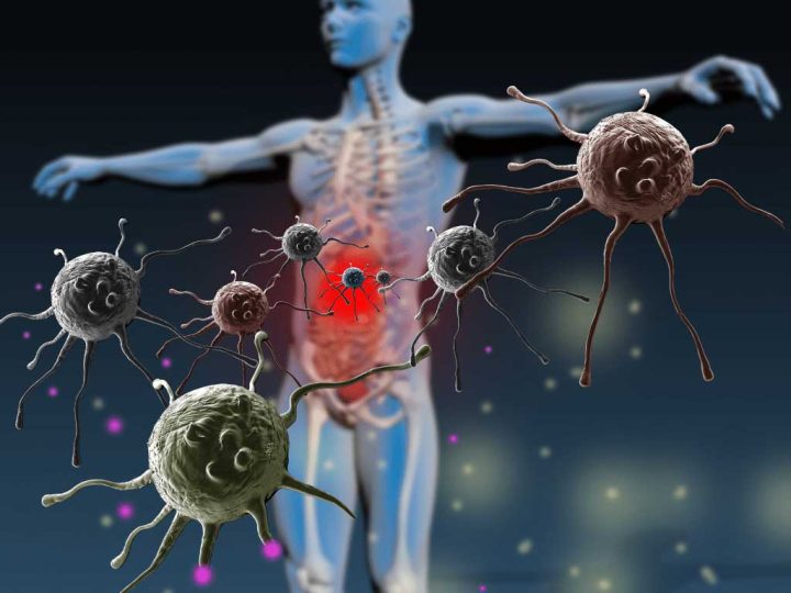 Boosting Immune Resilience: Recognising Indicators of a Weakened Immune System